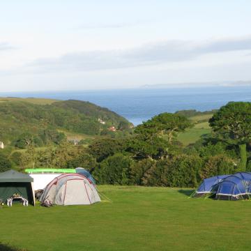 Top Field -2_2.JPG
